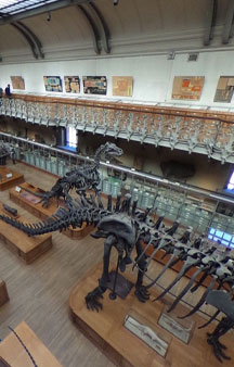 Natural History Dinosaur Museum Paris Educational VR 360 s tmb4