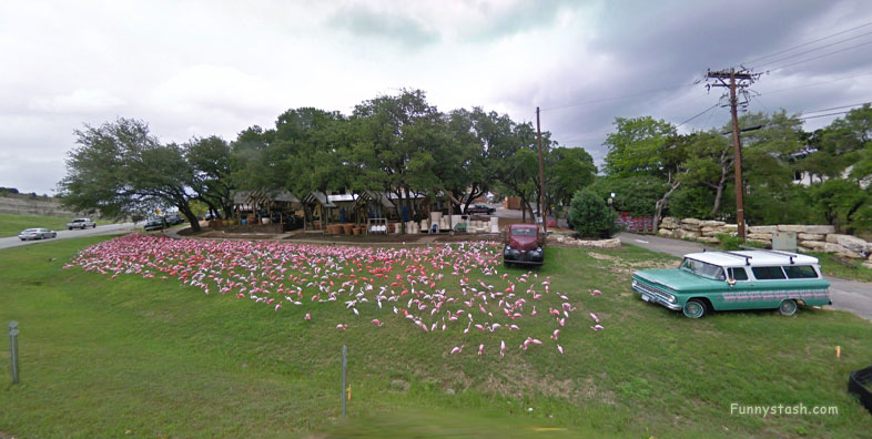 Plastic Flamingo Hat Creek Sanctuary VR Texas 2