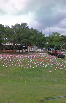 Plastic Flamingo Hat Creek Sanctuary VR Texas tmb1
