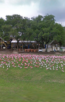 Plastic Flamingo Hat Creek Sanctuary VR Texas tmb2
