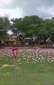 Plastic Flamingo Hat Creek Sanctuary VR Texas tmb3