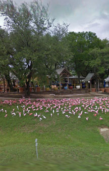 Plastic Flamingo Hat Creek Sanctuary VR Texas tmb4