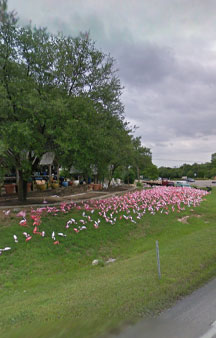 Plastic Flamingo Hat Creek Sanctuary VR Texas tmb5