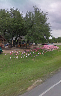 Plastic Flamingo Hat Creek Sanctuary VR Texas tmb6