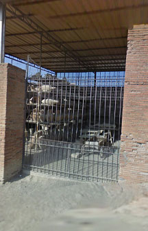 Pompei Roman Ruins VR Archeology Granaries Of The Forum tmb9