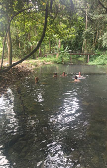 Thermal Bath Jungle Hot Springs Sai Ngam VR Thailand tmb2