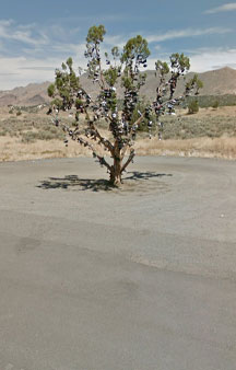 Tree Of Shoes California Weird Strange 360 VR Locations tmb4