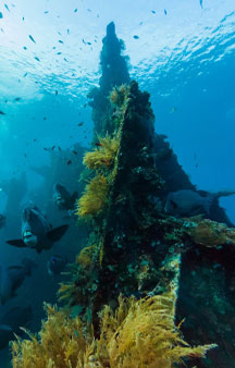 US Liberty Wreck Ship 1942 Torpedoed Japanese Tulamben Ocean VR tmb1