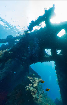 US Liberty Wreck Ship 1942 Torpedoed Japanese Tulamben Ocean VR tmb11