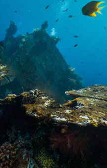 US Liberty Wreck Ship 1942 Torpedoed Japanese Tulamben Ocean VR tmb14