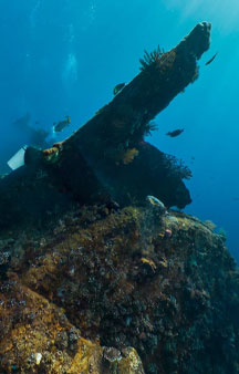 US Liberty Wreck Ship 1942 Torpedoed Japanese Tulamben Ocean VR tmb18