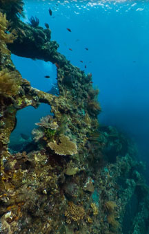 US Liberty Wreck Ship 1942 Torpedoed Japanese Tulamben Ocean VR tmb3