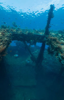 US Liberty Wreck Ship 1942 Torpedoed Japanese Tulamben Ocean VR tmb6