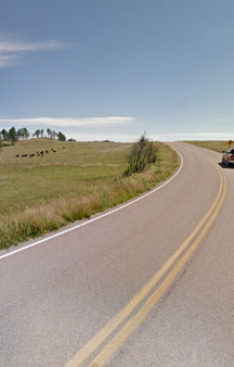 Wild Bison Street View 2013 VR South Dakota tmb3