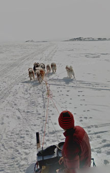 Dog Sled Across Iqaluit Bay Canada Map Locations tmb1