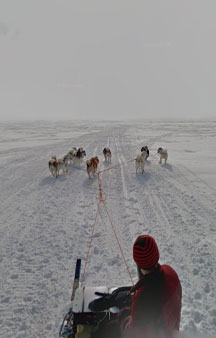 Dog Sled Across Iqaluit Bay Canada Map Locations tmb18