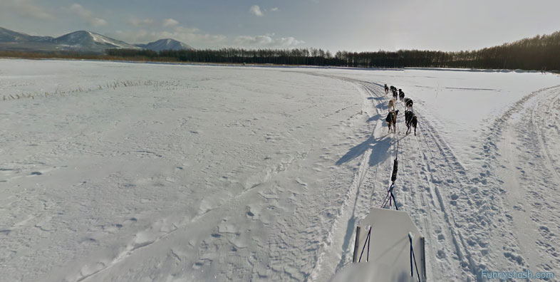 Dog Sledding In Hokkaido Japan Tours 1