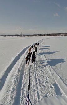Dog Sledding In Hokkaido Japan Tours tmb8