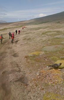 Falklands West Point Island Scenery-tmb1