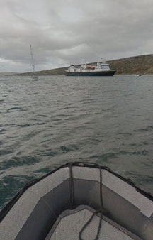 Falklands West Point Island tmb5