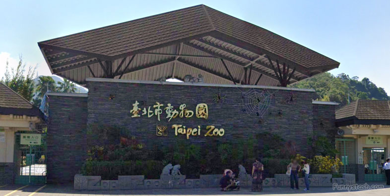 Taipei Zoo Giant Panda House Tourism Directions 1