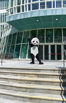 Taipei Zoo Giant Panda House Tourism Directions tmb15