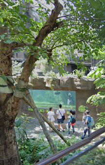 Taipei Zoo Giant Panda House Tourism Directions tmb31