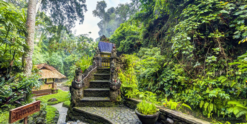 Ancient Temple Jungle Pura Indonesia Ornate Decor Tourism Locations