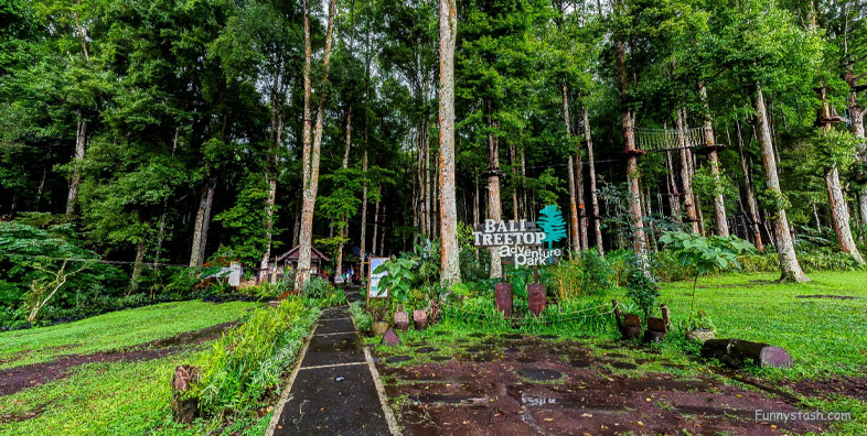 Bali Treetop Adventure Park Tree Houses Indonesia VR Tourism Locations