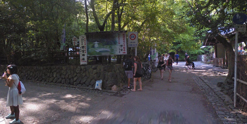 Bamboo Forest Arashiyama Japan Vr Gps 360 Tourism 1