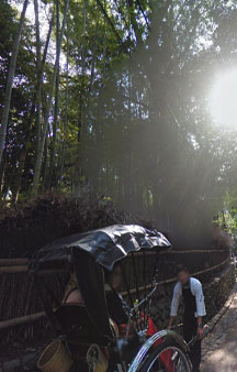 Bamboo Forest Arashiyama Japan Vr Gps 360 Tourism tmb10