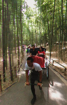 Bamboo Forest Arashiyama Japan Vr Gps 360 Tourism tmb17