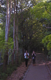 Bamboo Forest Arashiyama Japan Vr Gps 360 Tourism tmb4