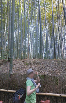 Bamboo Forest Arashiyama Japan Vr Gps 360 Tourism tmb6