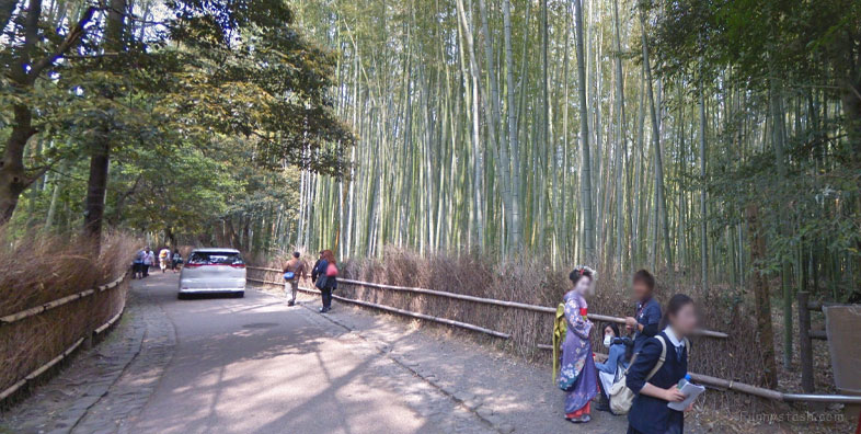 Bamboo Forest Arashiyama Japan Vr Gps 360 Tourism
