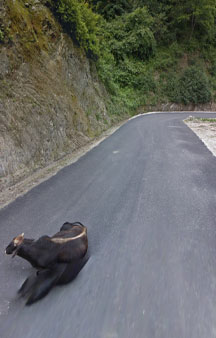Bhutan 360 VR Maps Street View tmb8