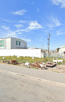 Cape Town South Africa Slum 360 VR Maps Street View tmb1