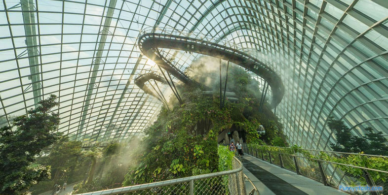 City Scape Cloud Forest Singapore Botanical Garden Greenhouse VR Tourism Locations