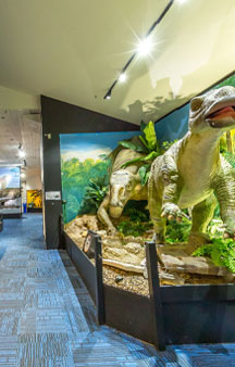 Dinosaur National Museum of Creek Road Australia VR Tourism Locations tmb12