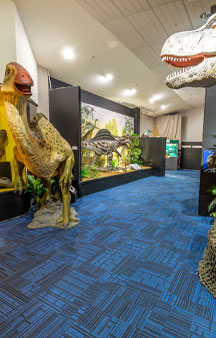 Dinosaur National Museum of Creek Road Australia VR Tourism Locations tmb13