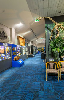 Dinosaur National Museum of Creek Road Australia VR Tourism Locations tmb14