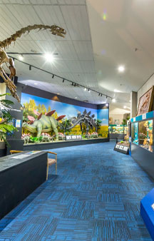 Dinosaur National Museum of Creek Road Australia VR Tourism Locations tmb15