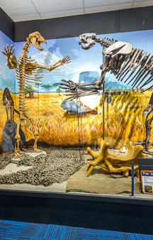 Dinosaur National Museum of Creek Road Australia VR Tourism Locations tmb9