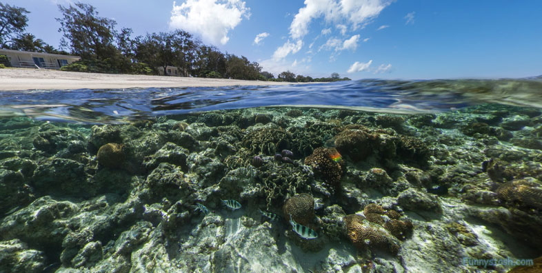 Eco Resort Australia Lady Elliot Island Ocean Areas