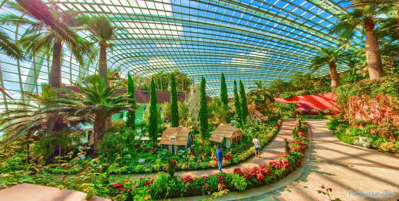 Flower Dome Gigantic Garden Glass Greenhouse Singapore VR Tourism Locations