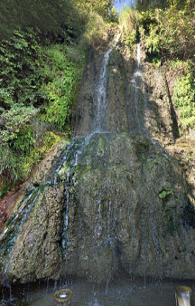 Japanese Tea Garden Fish Waterfall Park Tourism Locations tmb3