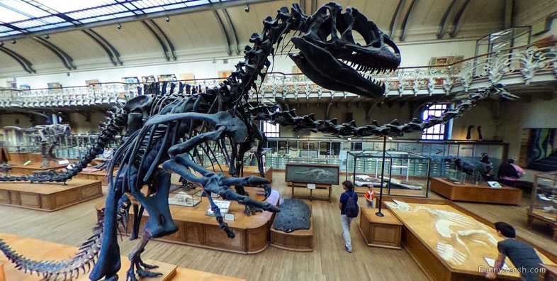 Natural History Dinosaur Museum Paris Educational VR 360 s