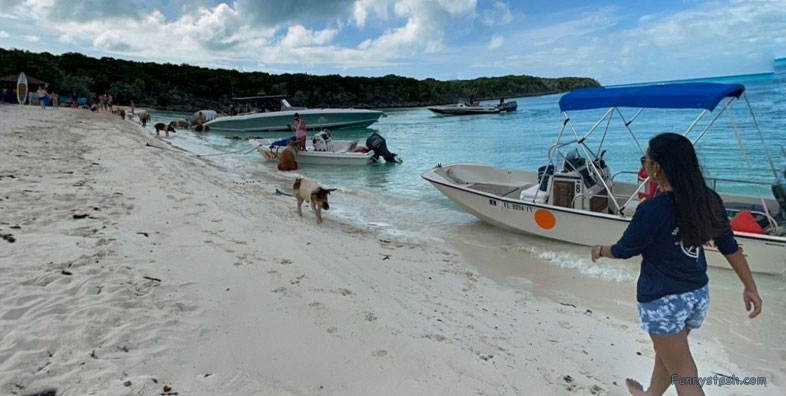 Pig Beach Bahamas Tourism VR Map Links