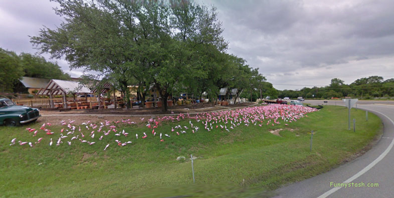 Plastic Flamingo Hat Creek Sanctuary VR Texas