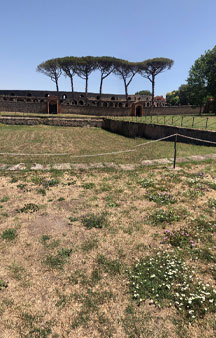 Pompei Roman Ruins VR Archeology Great Gym tmb1